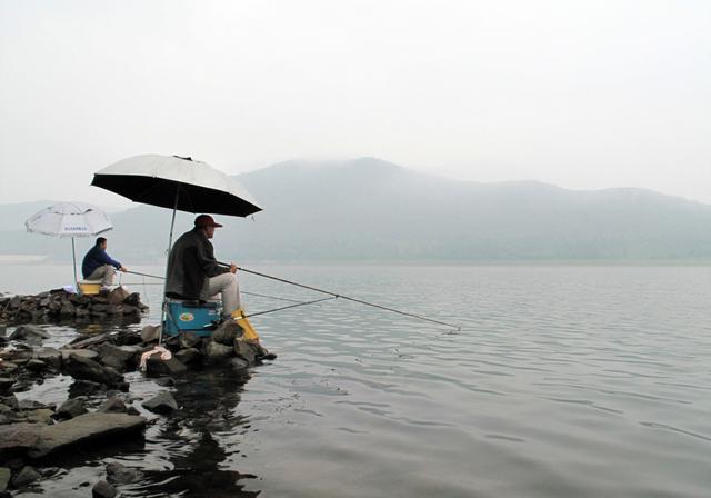 根据温度、水温、和鱼的习性来钓鱼，会更好