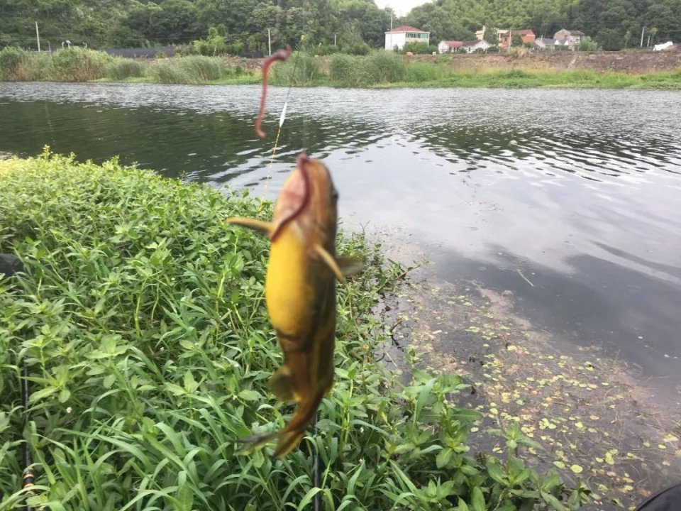 6级西南风也能钓到鱼？