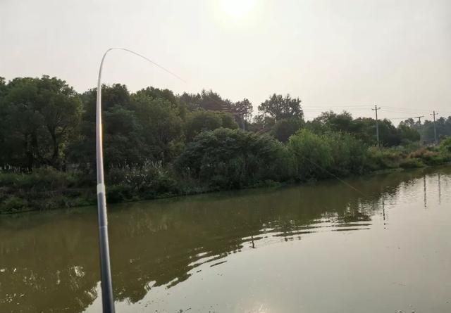 深秋依然能钓鲢鳙，饵料别操心，天气好才是真的好