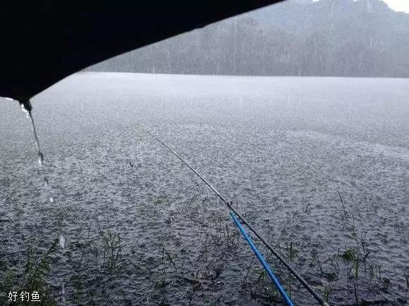 雨天作钓四个小技巧，学会就是真的风雨无阻