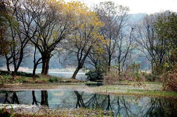 钓鱼需要注意什么问题？4个重要因素