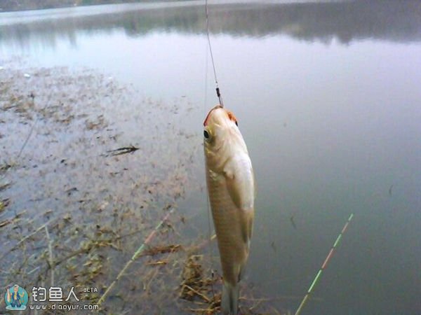 浅谈钓组的灵敏与迟钝问题