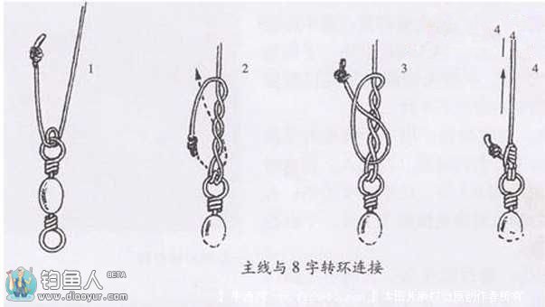 钓鱼主线八字辩子线鱼钩的绑法技巧