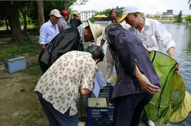 野钓还是塘钓？钓鱼人做个选择，各有各的好