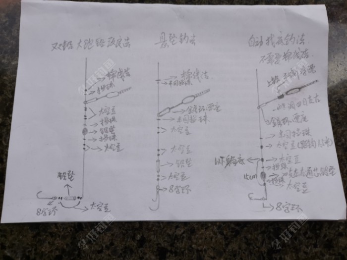 学习矶竿滑漂钓法，悬坠钓法、双铅钓法和自动找底钓法