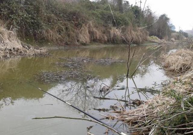 野河钓鱼，遇水草较多时，钓友要注意这几点