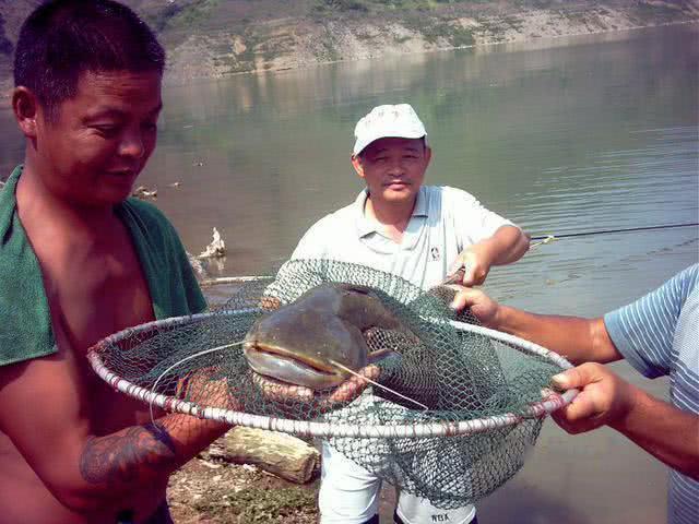 农村钓鱼人，一年四季的钓鱼技巧都在这里