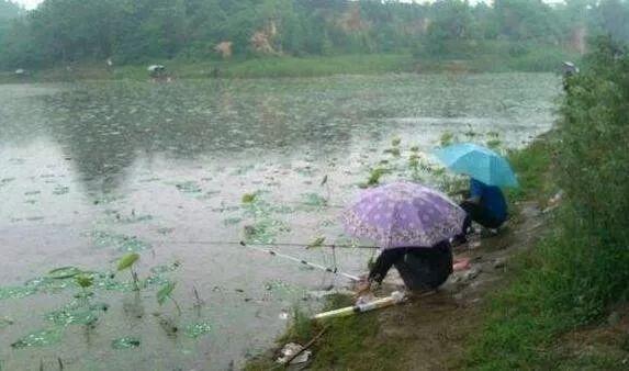 野钓找不到鱼道，谈何爆护？找鱼道的窍门都在这里