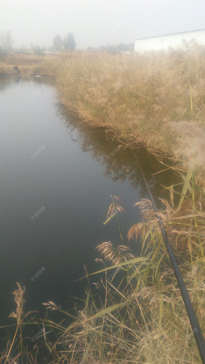 浅谈秋末夜钓 钓深还是钓浅 尝试传统钓