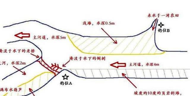 我的心路历程，总结的四条野钓经验，告诫新手少走弯路