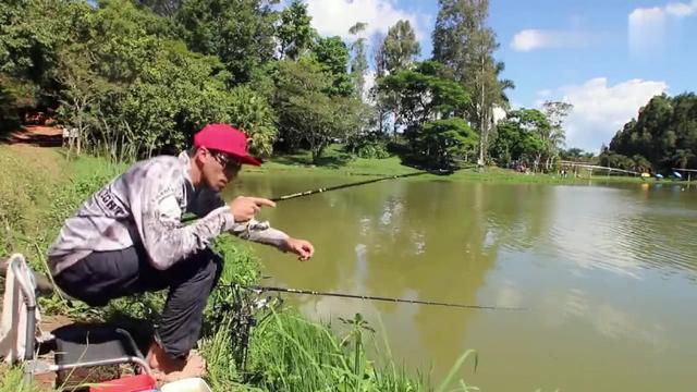 抛竿频率，要结合鱼情和鱼口，不浪费饵料，还容易留鱼