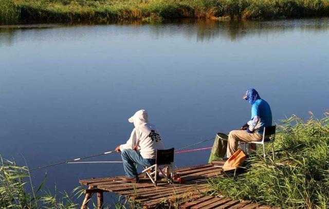 朝天钩钓法在野钓鲫鱼的5个优势，你知道哪些