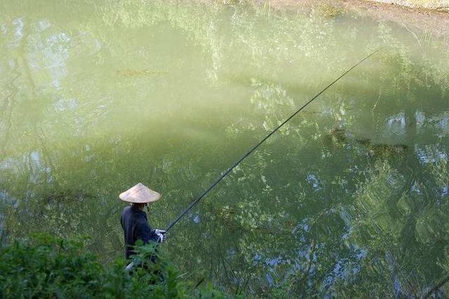 朝天钩钓法在野钓鲫鱼的5个优势，你知道哪些