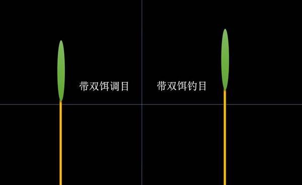 仲秋夜钓掌握这些常用老套路，轻松钓大鱼