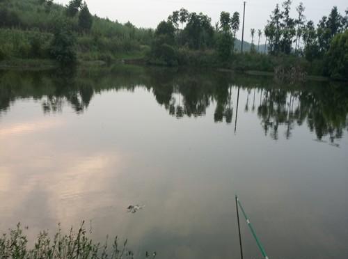 夏季夜钓蚊虫蛇鼠多危险，做好这两点细节夜钓更安全