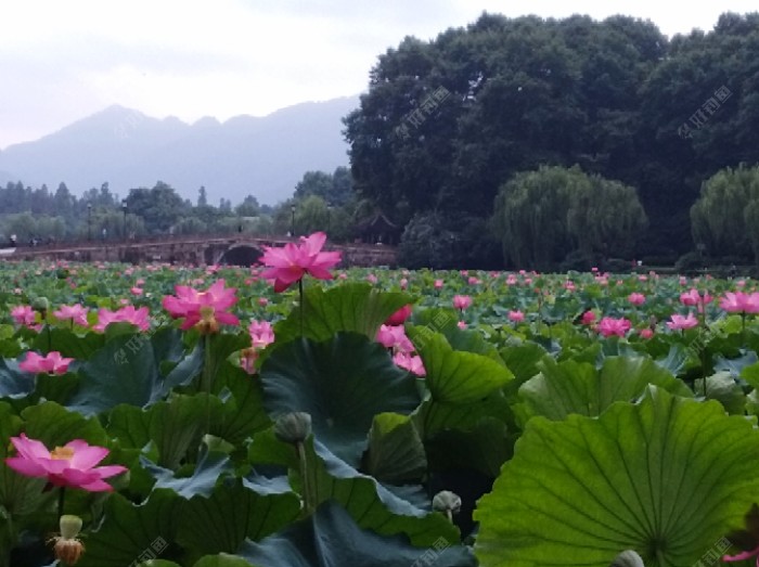 飞铅与跑铅钓法的浅识