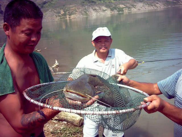 夏季高温怎样野钓，总结6点经验