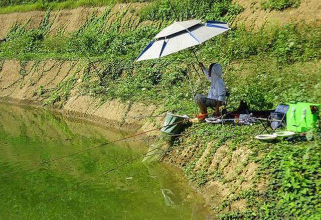 夏季高温怎样野钓，总结6点经验