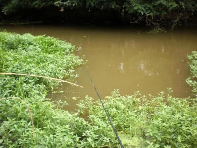 夏季高温怎样野钓，总结6点经验