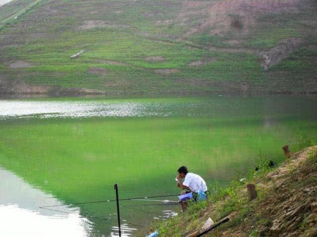 夏季高温怎样野钓，总结6点经验