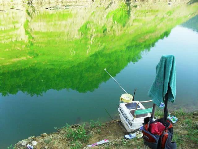 夏季高温怎样野钓，总结6点经验