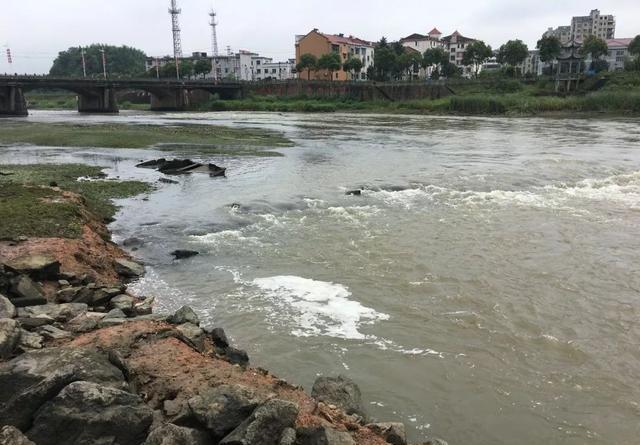 涨水鱼退水虾，野河水位下降真的钓不到鱼吗？