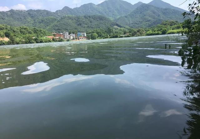 涨水鱼退水虾，野河水位下降真的钓不到鱼吗？