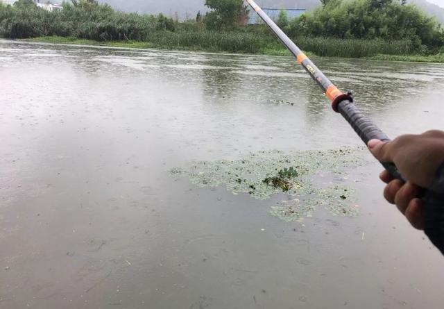 走水用闷竿钓法，大鱼咬钩几率高