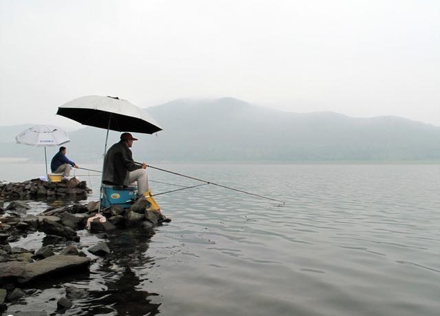 野外钓鲫鱼鲤鱼鲶鱼，鱼饵钓法三方面着手