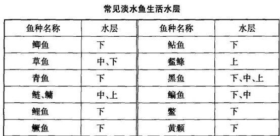 筏钓鱼层该如何找