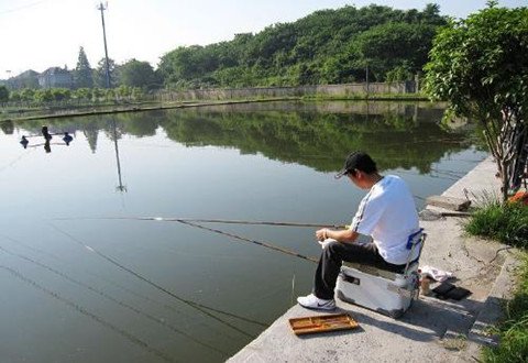 自问一下，你真的会握竿吗？钓鱼人来学习下