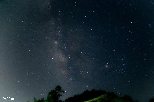 夏季夜钓，需要掌握这四个技巧