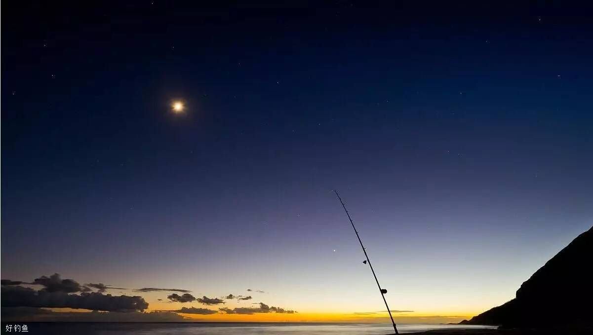 夏季夜钓，需要掌握这四个技巧