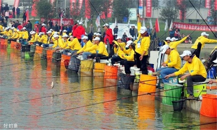 台钓没口怎么办？你得学会这些逗鱼技巧