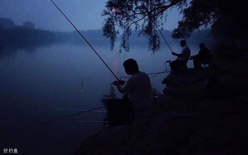 夏季夜钓，需要注意的五个安全事项