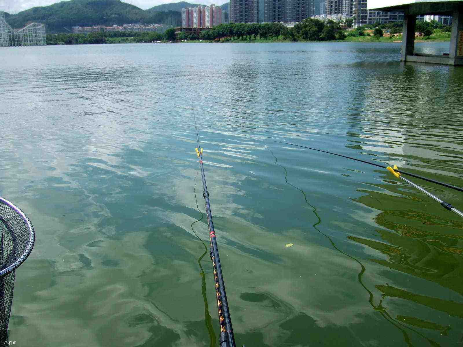 用手竿台钓的线组搭配及抛竿技巧