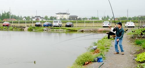 传统钓法钓草洞的钓位选择及逗钓技巧