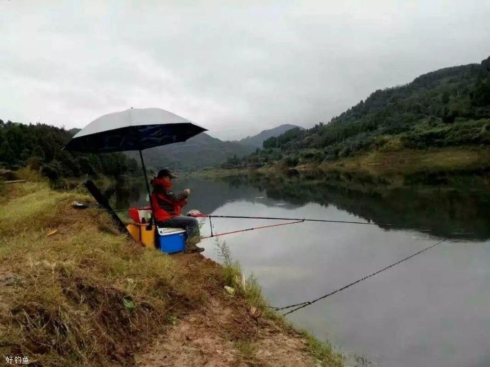 野钓冬鲫疑难问题浅析