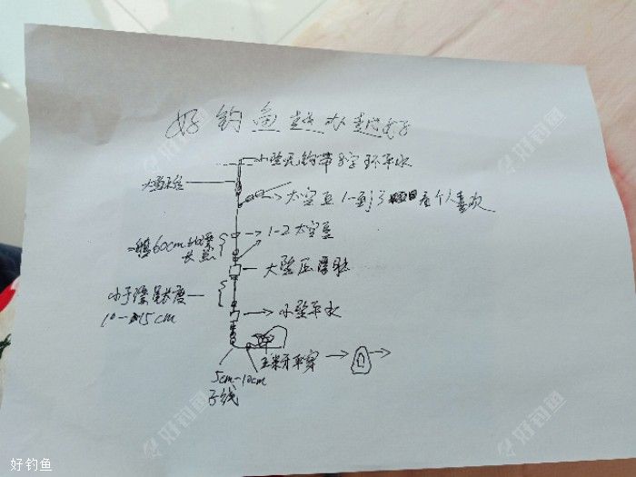 矶竿入门线组、打窝、钓法、钓位及饵料技巧