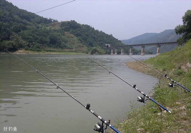 鲶鱼的海竿、车竿、插竿钓法