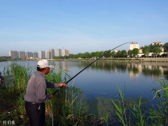 传统钓中的悬浮钓法与调漂技巧