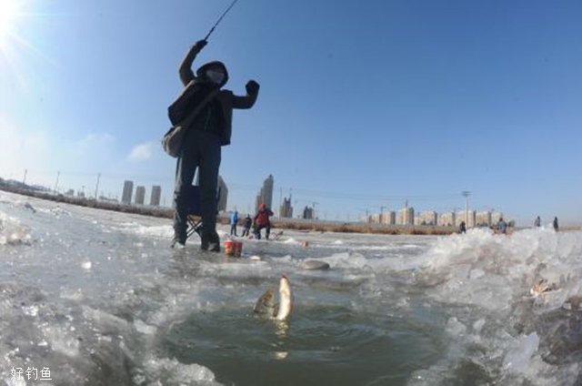 什么环境和情况适合浮钓？