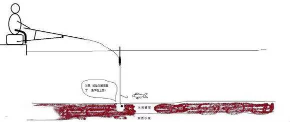 在有酱层的水域，应该如何钓鱼