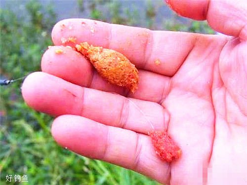 包食钓法的饵料制作和使用技巧