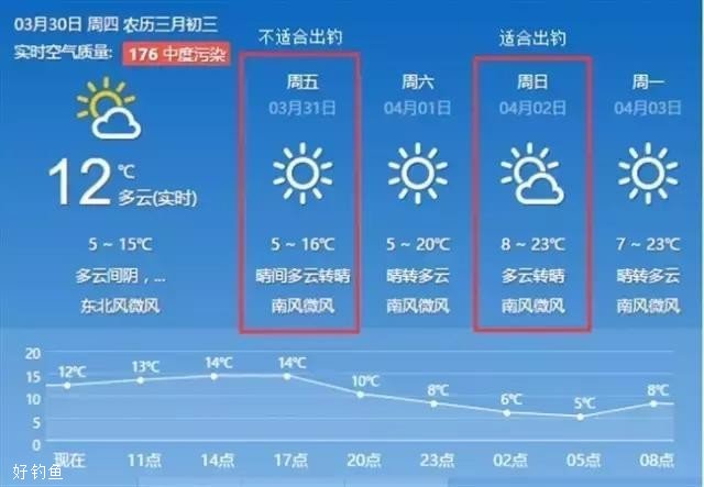 春钓鲤鱼如何选择出钓气温钓点饵料