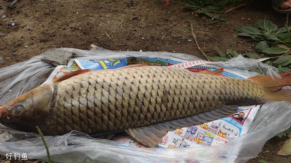 野钓大鱼的六大原则