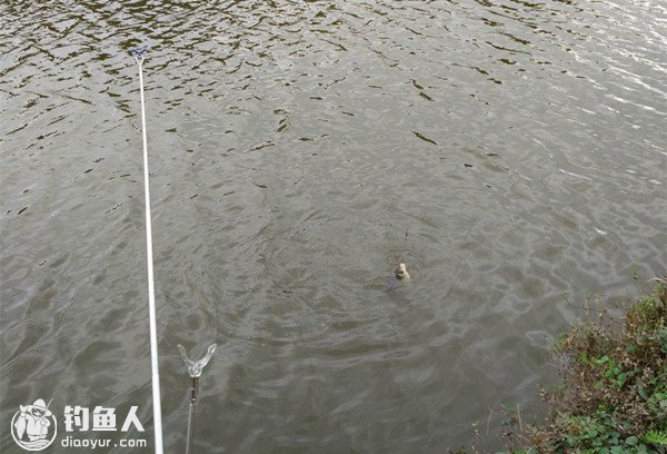 浅谈流水手竿无漂钓法的应用技巧