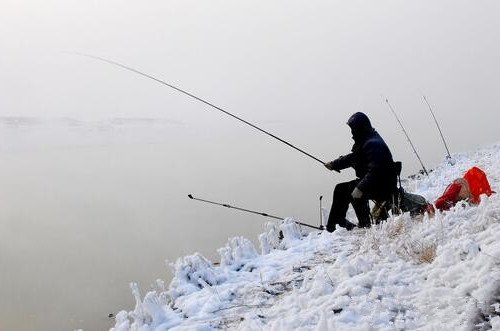 高手分享冬季野钓鲫鱼实用技巧