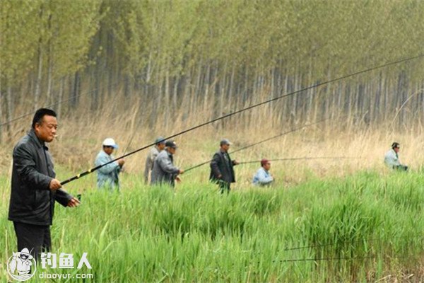 野外钓鱼的钓法和打窝用饵技巧