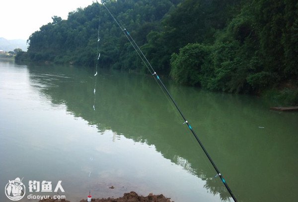 夏末初秋海竿串钩钓鱼的技巧